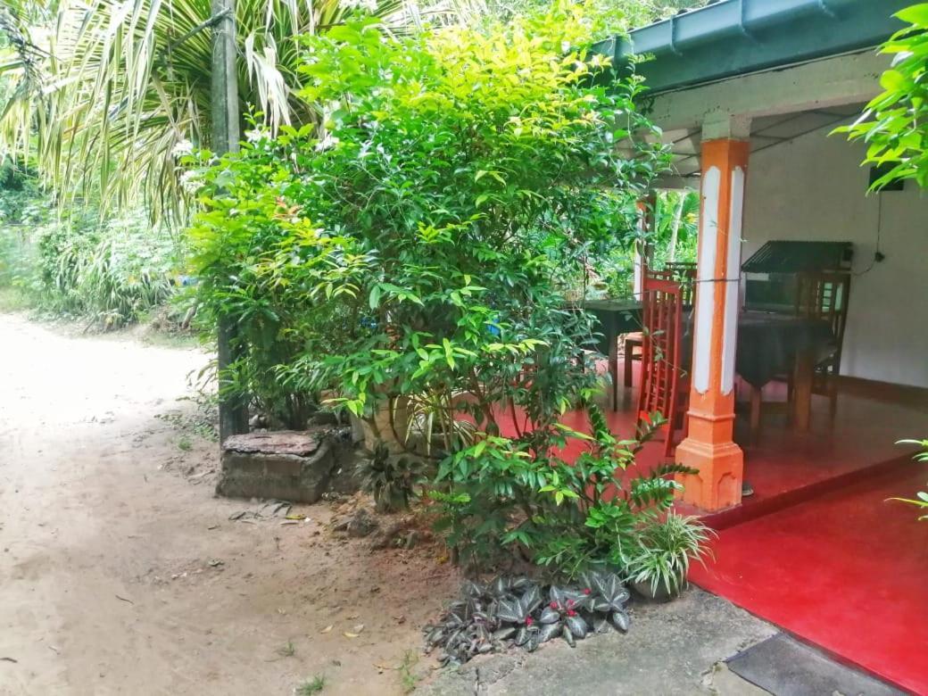 Senith Guest House มิริสซา ภายนอก รูปภาพ